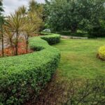 Landscape Development