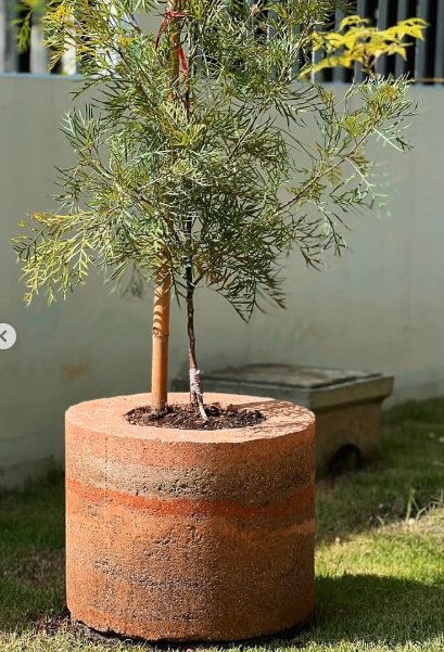 Rammed Earth Planter