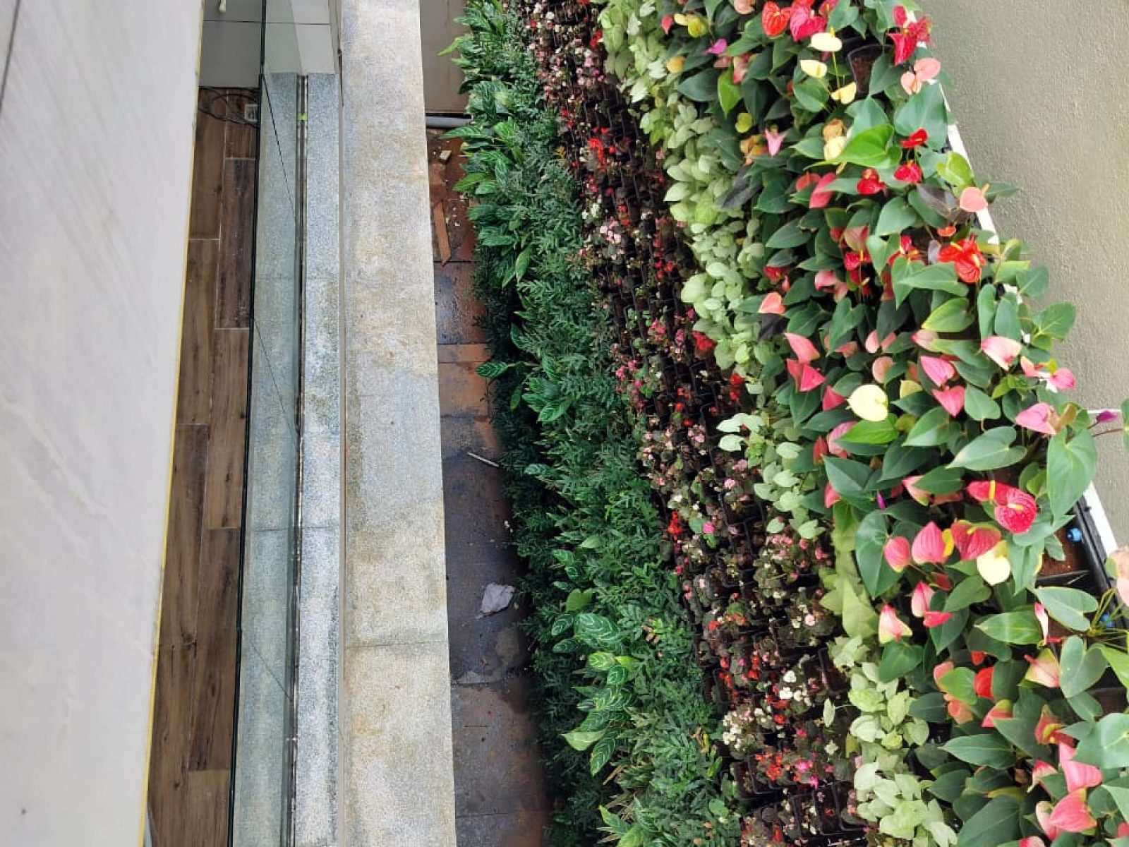 WhatsApp Image 2025-12-23 at 10.18.37